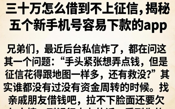 三十万怎么借到不上征信，揭秘五个新手机号容易下款的app