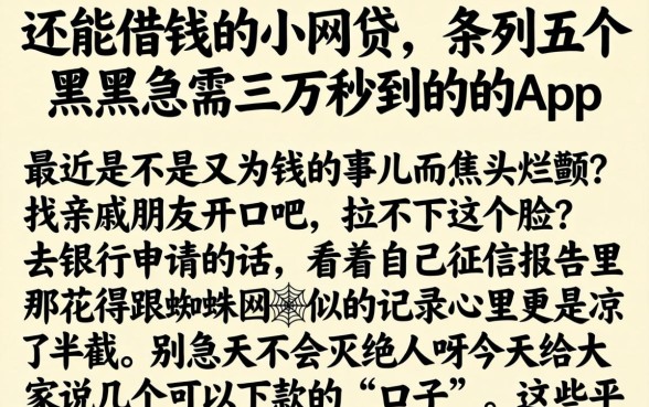 还能借钱的小网贷，条列五个黑户急需三万秒到的的app