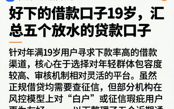 好下的借款口子19岁,汇总五个放水的贷款口子