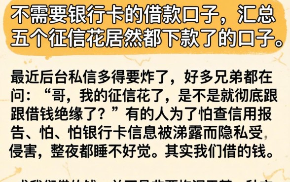 不需要银行卡的借款口子，汇总五个征信花居然都下款了的口子