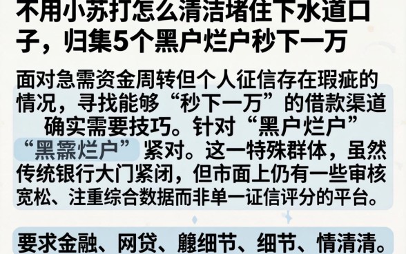 不用小苏打怎么清洁堵住的下水道口子,归集5个黑户烂户秒下一万
