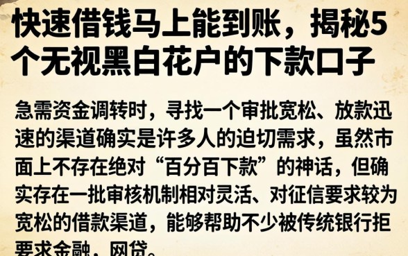快速借钱马上能到账，揭秘5个无视黑白花户的下款口子