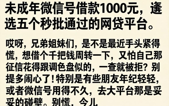 未成年微信号借款1000元，遴选五个秒批通过的网贷平台