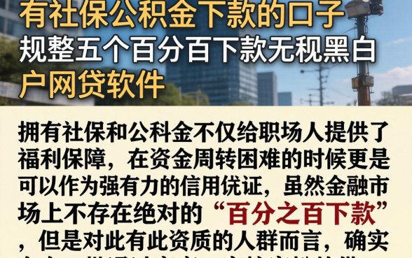 有社保公积金下款的口子，规整五个百分百下款无视黑白户网贷软件