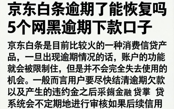 京东白条逾期了能恢复吗，细致阐述5个网黑逾期下款口子