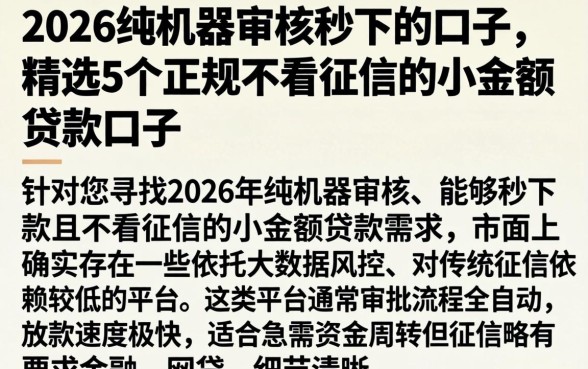 2026纯机器审核秒下的口子，精选5个正规不看征信的小额贷款口子