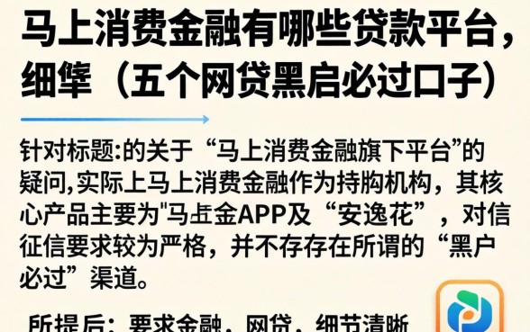 马上消费金融有哪些贷款平台，细致阐述五个网贷黑户必过口子