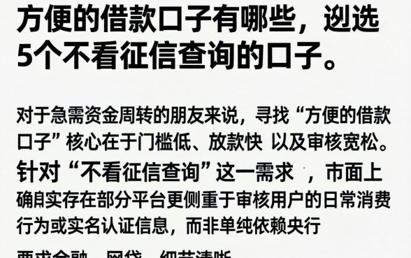 方便的借款口子有哪些，遴选5个不看征信查询的口子