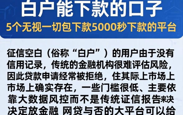 白户能下款的口子，详细阐述5个无视一切包下款5000秒下款的平台