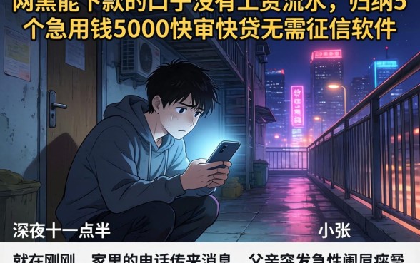 网黑能下款的口子没有工资流水，归纳5个急用钱5000快审快贷无需征信软件