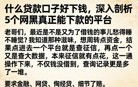 什么贷款的口子好下钱，深入剖析5个网黑真正能下款的平台