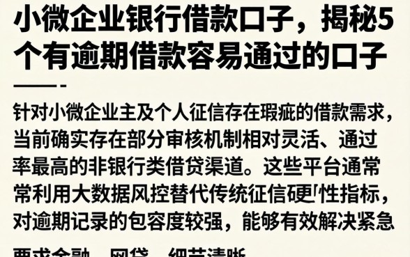 小微企业银行借款口子，揭秘5个有逾期借款容易通过的口子