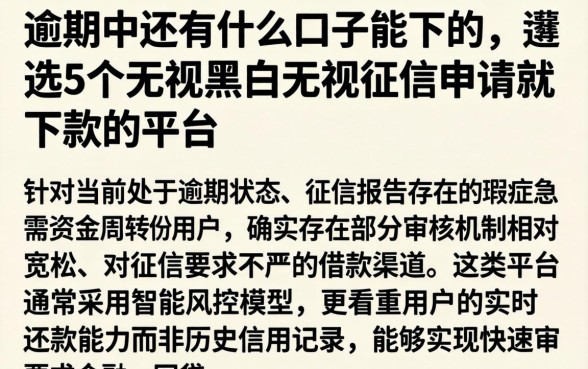 逾期中还有什么口子能下的，遴选5个无视黑白无视征信申请就下款的平台