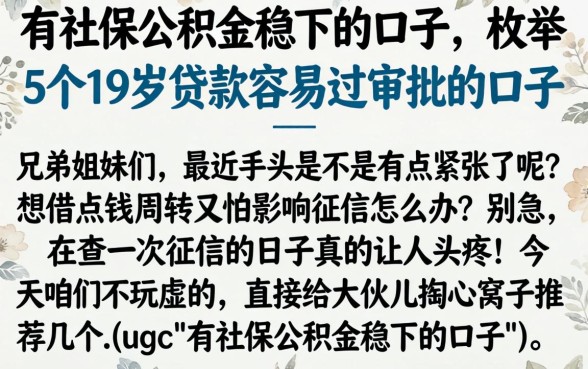 有社保公积金稳下的口子，枚举5个19岁贷款容易过审批的口子