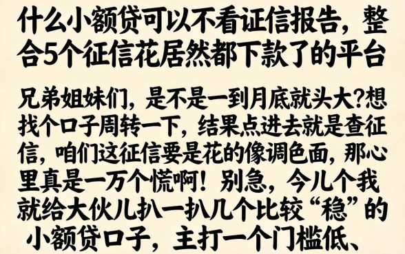 什么小额贷可以不看征信报告，整合5个征信花居然都下款了的平台