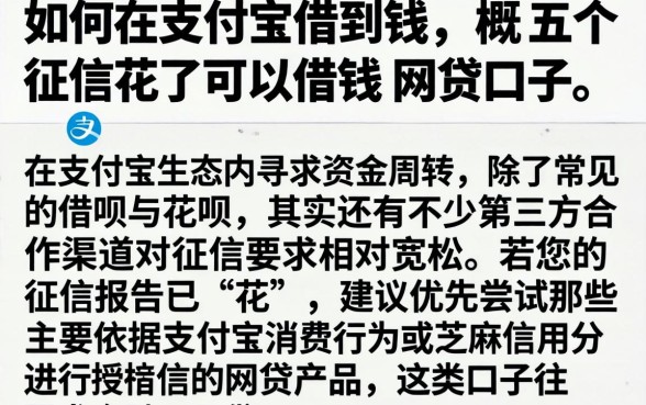 如何在支付宝借到钱，概括五个征信花了可以借钱的网贷口子
