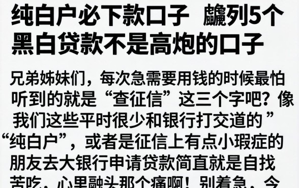 纯白户必下款口子，胪列5个黑白贷款不是高炮的口子