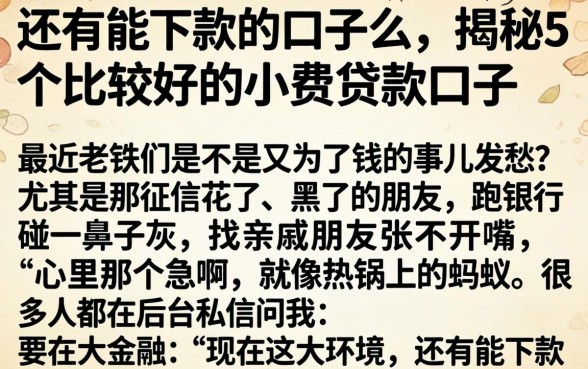 还有能下款的口子么，揭秘5个比较好的小额贷款口子