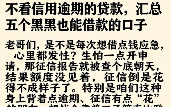 不看信用逾期的贷款，汇总五个黑户也能借款的口子