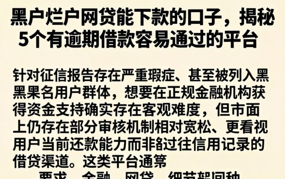 黑户烂户网贷能下款的口子，揭秘5个有逾期借款容易通过的平台