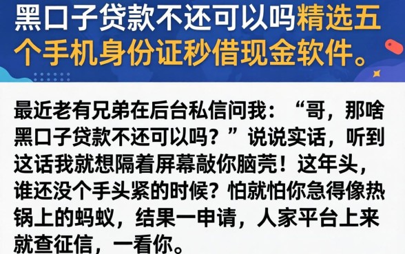 黑口子贷款不还可以吗，精选五个手机身份证秒借现金的软件