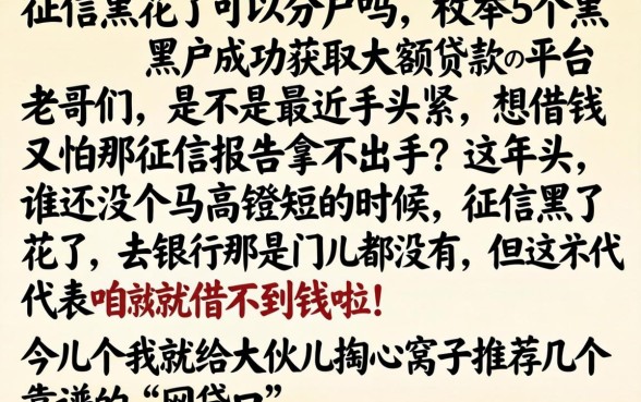 征信黑花了可以分户吗，枚举5个黑户成功获取大额贷款的平台
