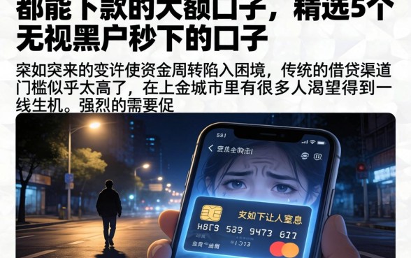 都能下款的大额口子，精选5个无视黑户秒下的口子