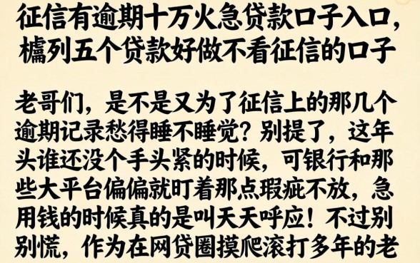 征信有逾期十万火急贷款口子入口，胪列五个贷款好做不看征信的口子