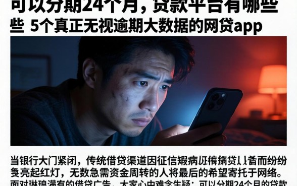 可以分期24个月的贷款平台有哪些，详尽说明5个真正无视逾期大数据的网贷app