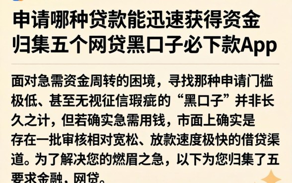 申请哪种贷款能迅速获得资金，归集五个网贷黑口子必下款app