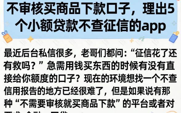 不审核买商品下款的口子，理出5个小额贷款不查征信的app