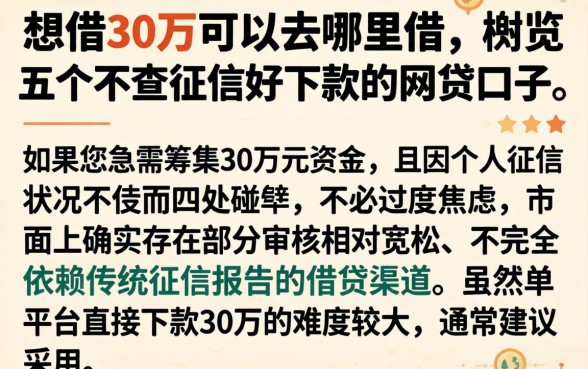 想借30万可以去哪里借，概览五个不查征信好下款的网贷口子