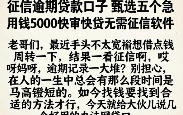 征信逾期贷款口子，甄选五个急用钱5000快审快贷无需征信软件