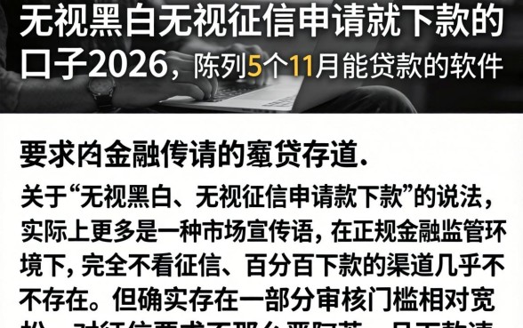 无视黑白无视征信申请就下款的口子2026，陈列5个11月能贷款的软件