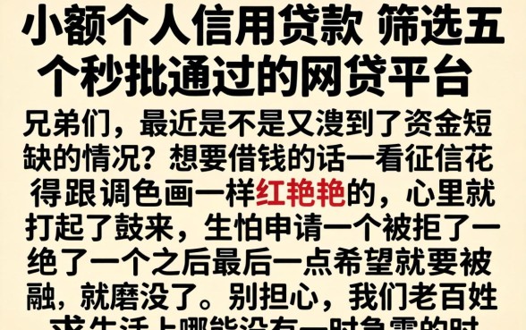 小额个人信用贷款，筛选五个秒批通过的网贷平台