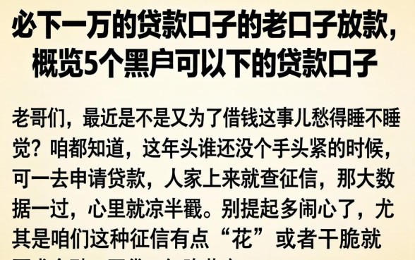 必下一万的贷款口子的老口子放款，概览5个黑户可以下的贷款口子