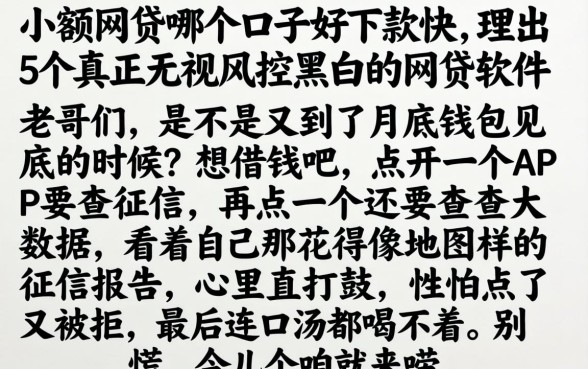 小额网贷哪个口子好下款快，理出5个真正无视风控黑白的网贷软件