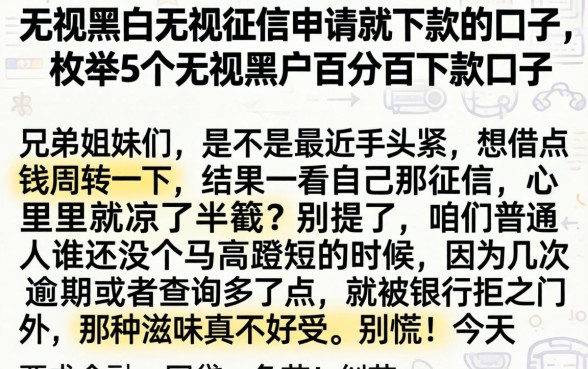 无视黑白无视征信申请就下款的口子，枚举5个无视黑户百分百下款口子