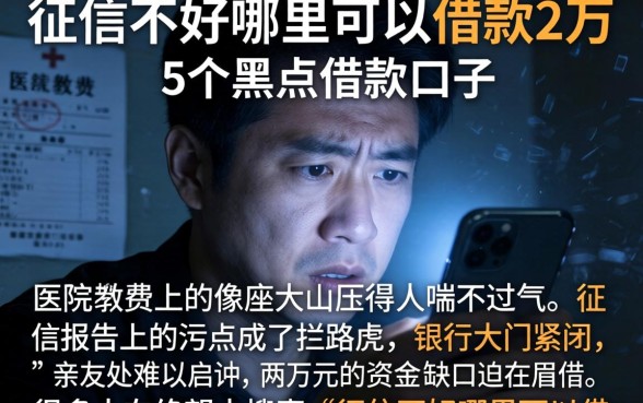 征信不好哪里可以借款2万，概括5个黑户借款口子