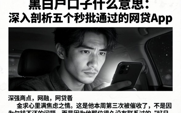 黑白户口子什么意思，深入剖析五个秒批通过的网贷app
