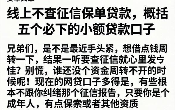 线上不查征信保单贷款，概括五个必下的小额贷款口子