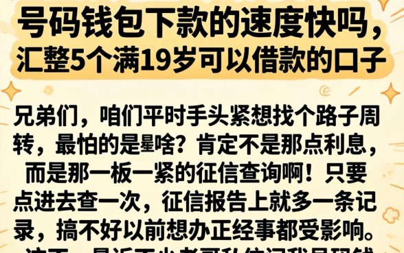 号码钱包下款的速度快吗，汇整5个满19岁可以借款的口子