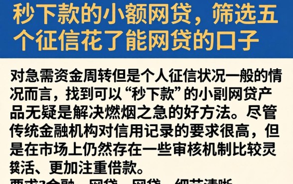 秒下款的小额网贷，筛选五个征信花了能网贷的口子
