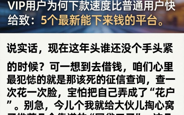 VIP用户为何下款速度比普通用户快，细致阐述5个最新能下来钱的平台