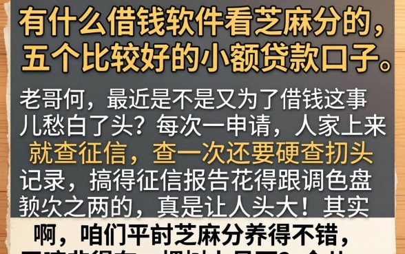 有什么借钱软件看芝麻分的，详细阐述五个比较好的小额贷款口子