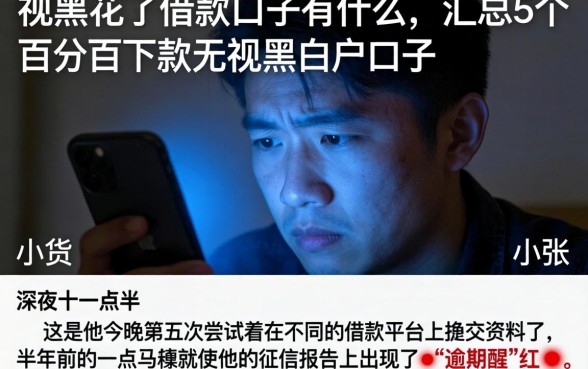 视黑花了借款口子有什么，汇总5个百分百下款无视黑白户口子