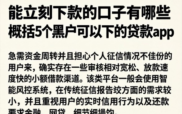 能立刻下款的口子有哪些，概括5个黑户可以下的贷款app