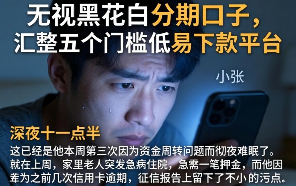 无视黑花白的分期口子，汇整五个门槛低易下款平台