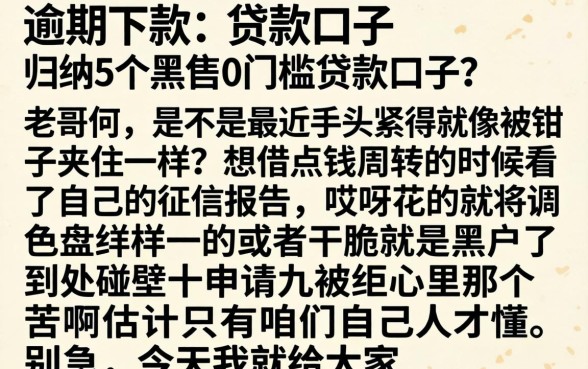 逾期下款的贷款口子,归纳5个黑户0门槛贷款口子