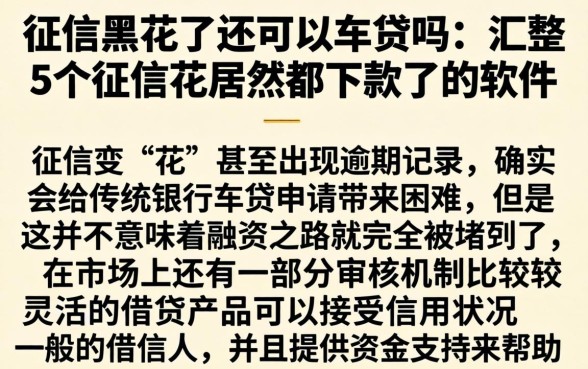征信黑花了还可以车贷吗，汇整5个征信花居然都下款了的软件